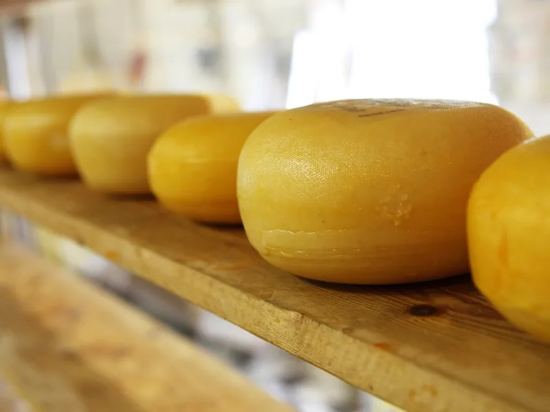 Gouda jung −20 %