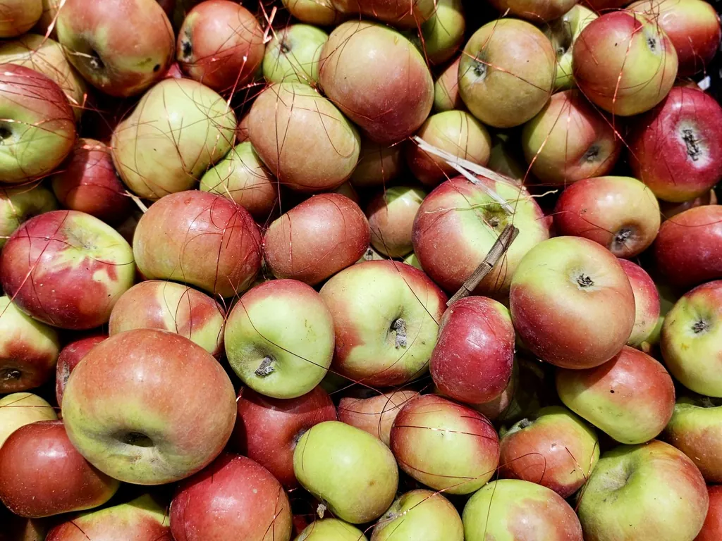 Äpfel 1 kg